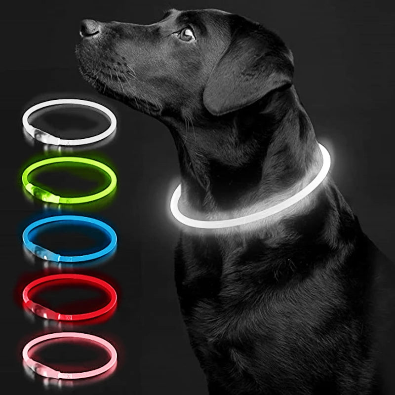 FinPaws BrandBuddy LED Luminous Pet Collar – Rechargeable Glowing Safety Light Necklace for Dogs & Cats | Heijastava LED Koiran Kaulapanta ja Kissan Kaulakoru