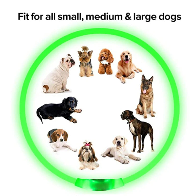 FinPaws BrandBuddy LED Luminous Pet Collar – Rechargeable Glowing Safety Light Necklace for Dogs & Cats | Heijastava LED Koiran Kaulapanta ja Kissan Kaulakoru