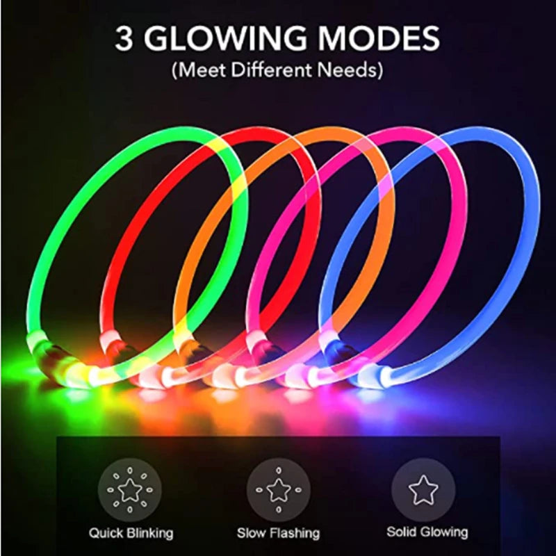 FinPaws BrandBuddy LED Luminous Pet Collar – Rechargeable Glowing Safety Light Necklace for Dogs & Cats | Heijastava LED Koiran Kaulapanta ja Kissan Kaulakoru