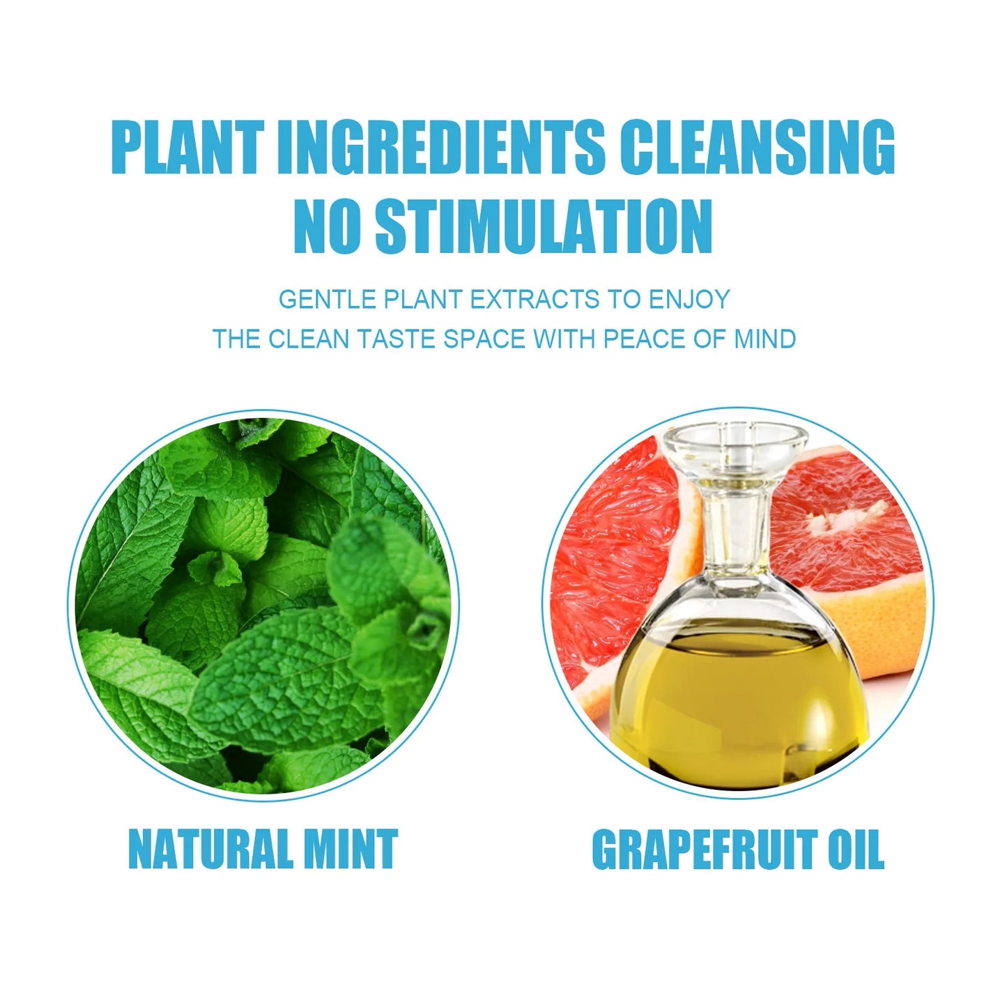 FinPaws Enzymatic Pet Toothpaste for Dogs & Cats – Oral Gum Care & Plaque Control