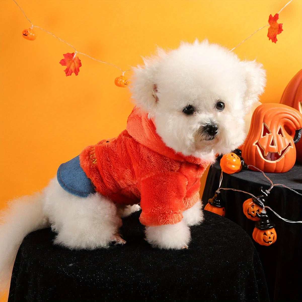 Happy Halloween Pack Orange Pumpkin Pet Clothes Dog Cat Splicing  Fleece Thickened Embroidery Traction Open Button Jacket
