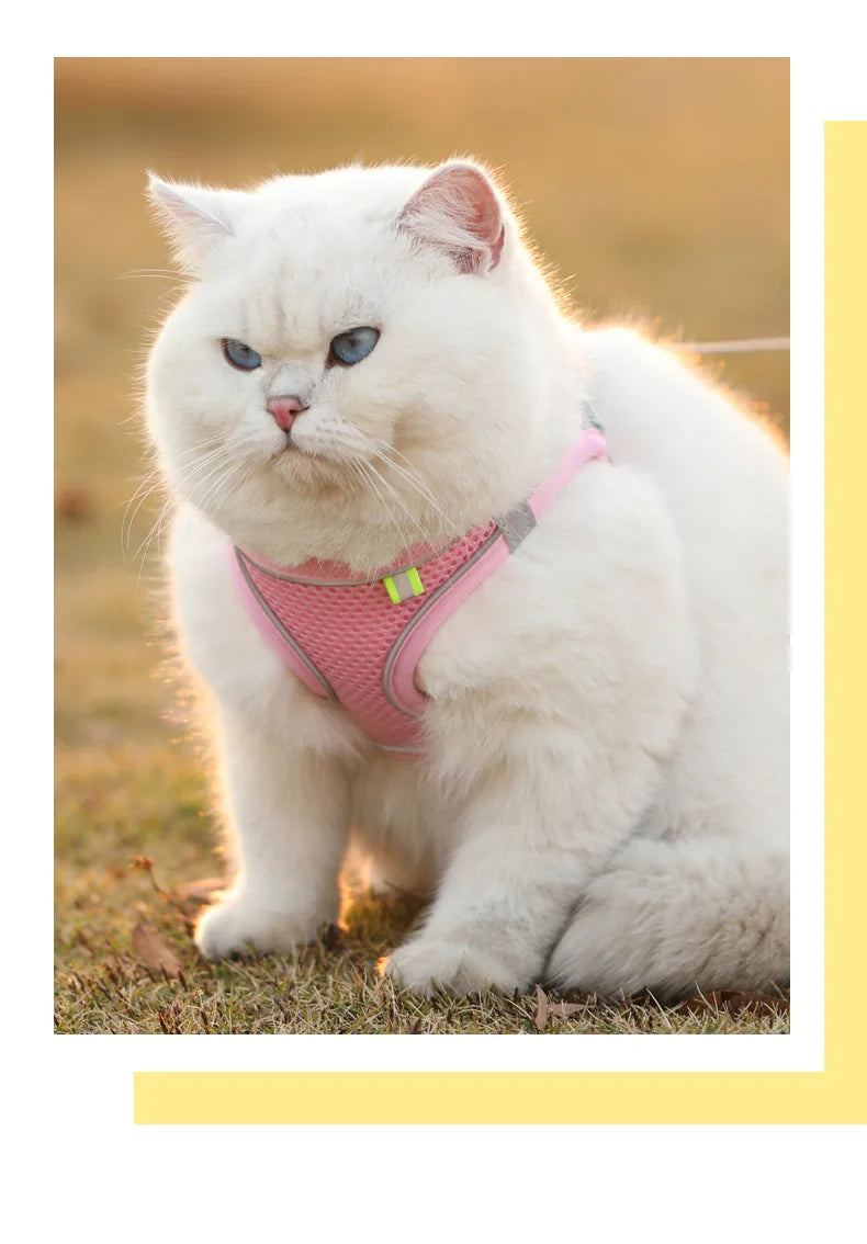 Safe Design Adjustable Cat/Dog Harness Vest for Small Medium Cat/Dogs Pet Harness Chest Rope & Reflective Strips Breathable