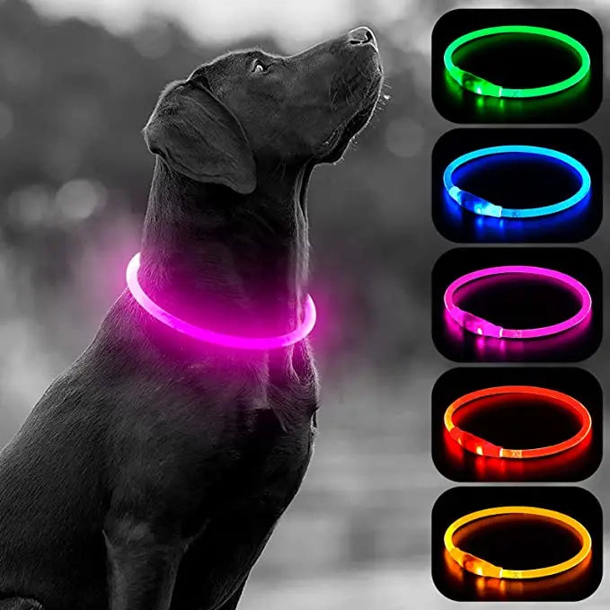 FinPaws BrandBuddy LED Luminous Pet Collar – Rechargeable Glowing Safety Light Necklace for Dogs & Cats | Heijastava LED Koiran Kaulapanta ja Kissan Kaulakoru