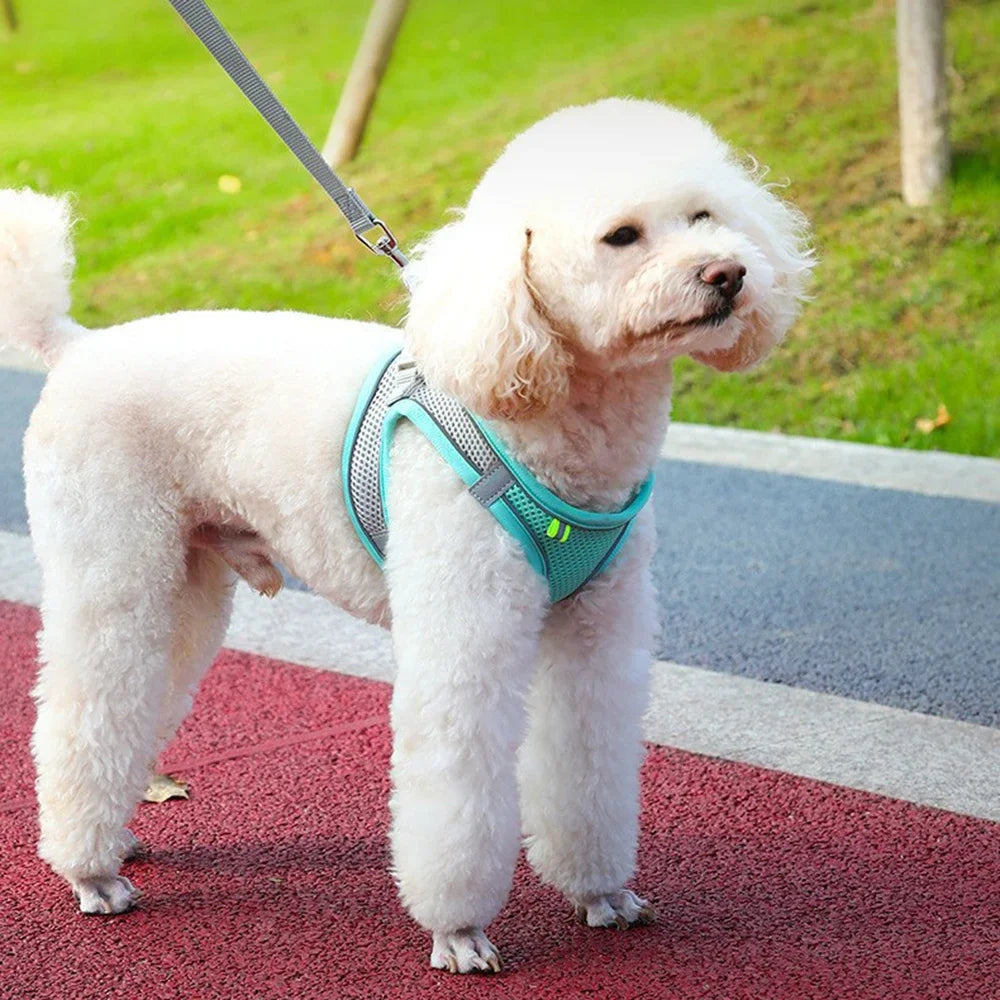 Safe Design Adjustable Cat/Dog Harness Vest for Small Medium Cat/Dogs Pet Harness Chest Rope & Reflective Strips Breathable