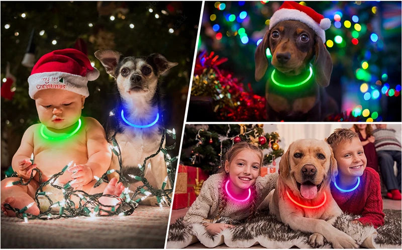 FinPaws BrandBuddy LED Luminous Pet Collar – Rechargeable Glowing Safety Light Necklace for Dogs & Cats | Heijastava LED Koiran Kaulapanta ja Kissan Kaulakoru