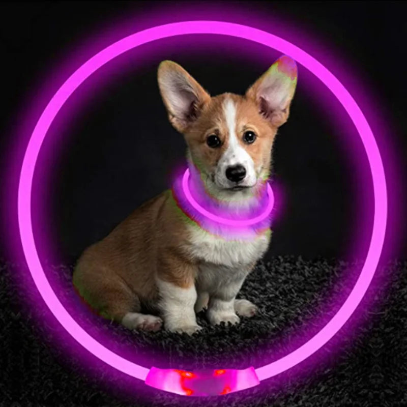 FinPaws BrandBuddy LED Luminous Pet Collar – Rechargeable Glowing Safety Light Necklace for Dogs & Cats | Heijastava LED Koiran Kaulapanta ja Kissan Kaulakoru