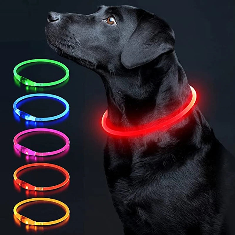 FinPaws BrandBuddy LED Luminous Pet Collar – Rechargeable Glowing Safety Light Necklace for Dogs & Cats | Heijastava LED Koiran Kaulapanta ja Kissan Kaulakoru