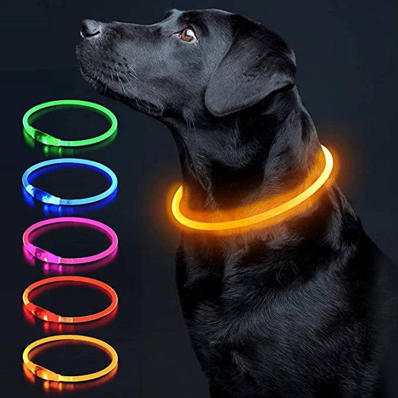 FinPaws BrandBuddy LED Luminous Pet Collar – Rechargeable Glowing Safety Light Necklace for Dogs & Cats | Heijastava LED Koiran Kaulapanta ja Kissan Kaulakoru