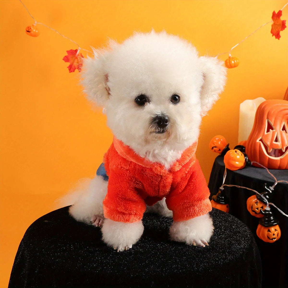 Happy Halloween Pack Orange Pumpkin Pet Clothes Dog Cat Splicing  Fleece Thickened Embroidery Traction Open Button Jacket