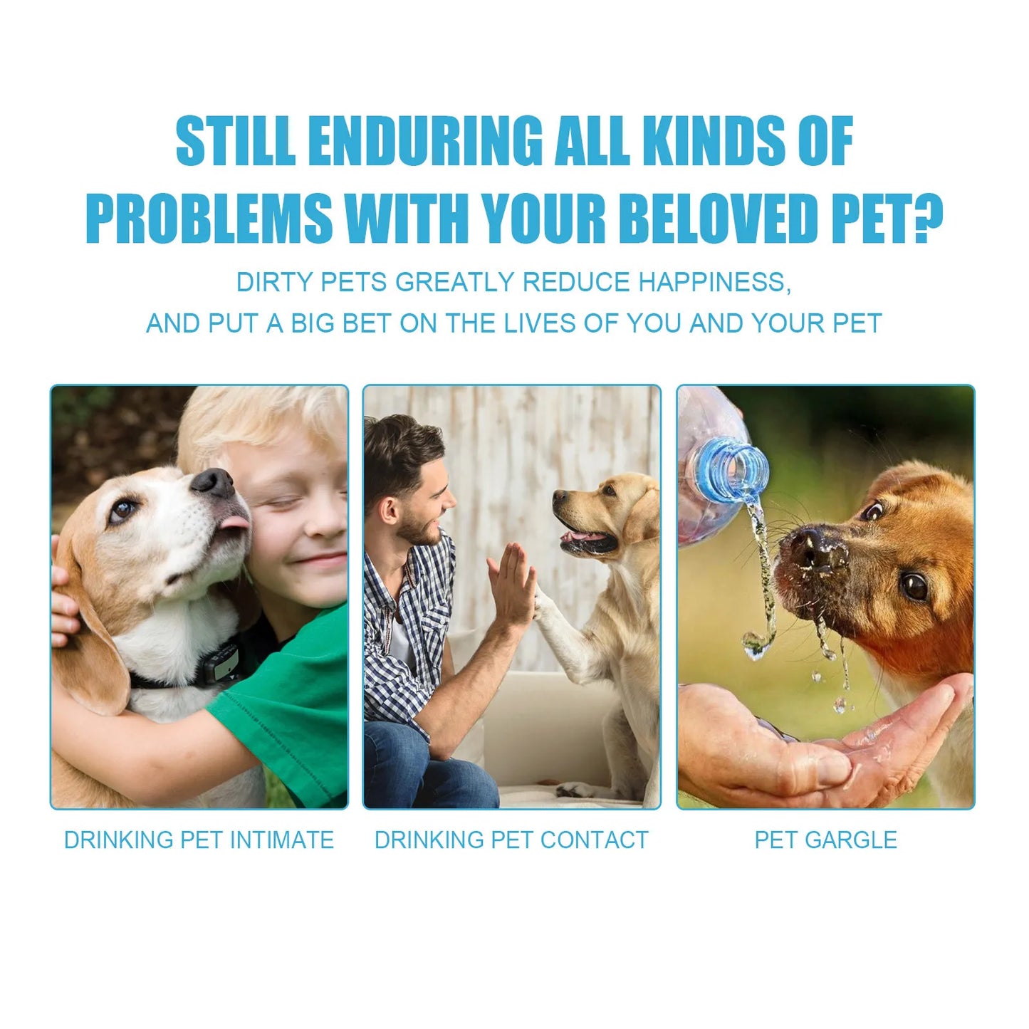 FinPaws Enzymatic Pet Toothpaste for Dogs & Cats – Oral Gum Care & Plaque Control