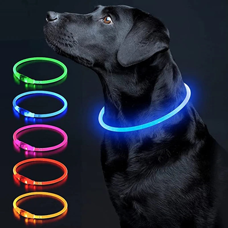 FinPaws BrandBuddy LED Luminous Pet Collar – Rechargeable Glowing Safety Light Necklace for Dogs & Cats | Heijastava LED Koiran Kaulapanta ja Kissan Kaulakoru