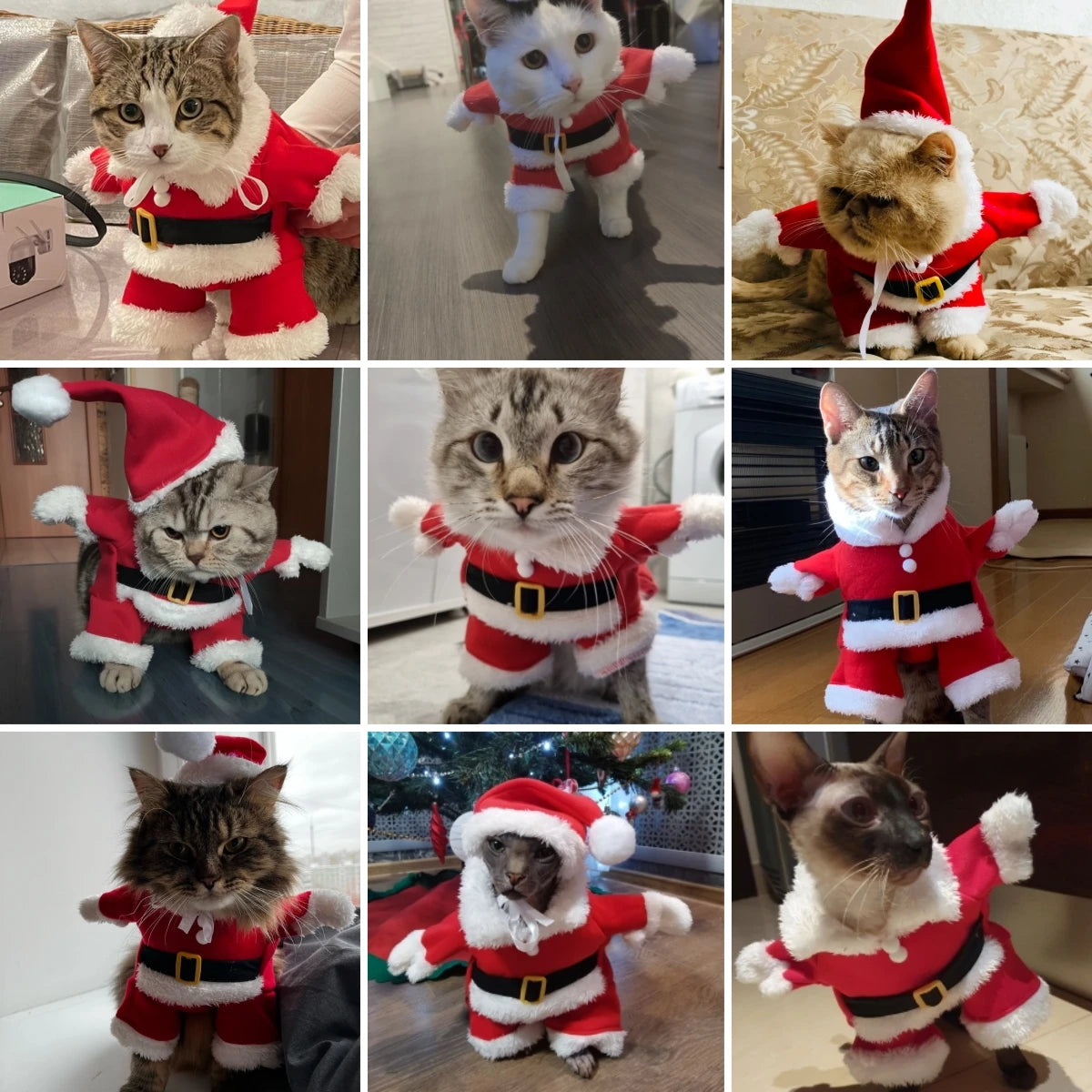 Christmas Cat & Dog Santa Costume | Funny Pet Cosplay Outfit | Joulupukki Asu Lemmikeille - FinPaws