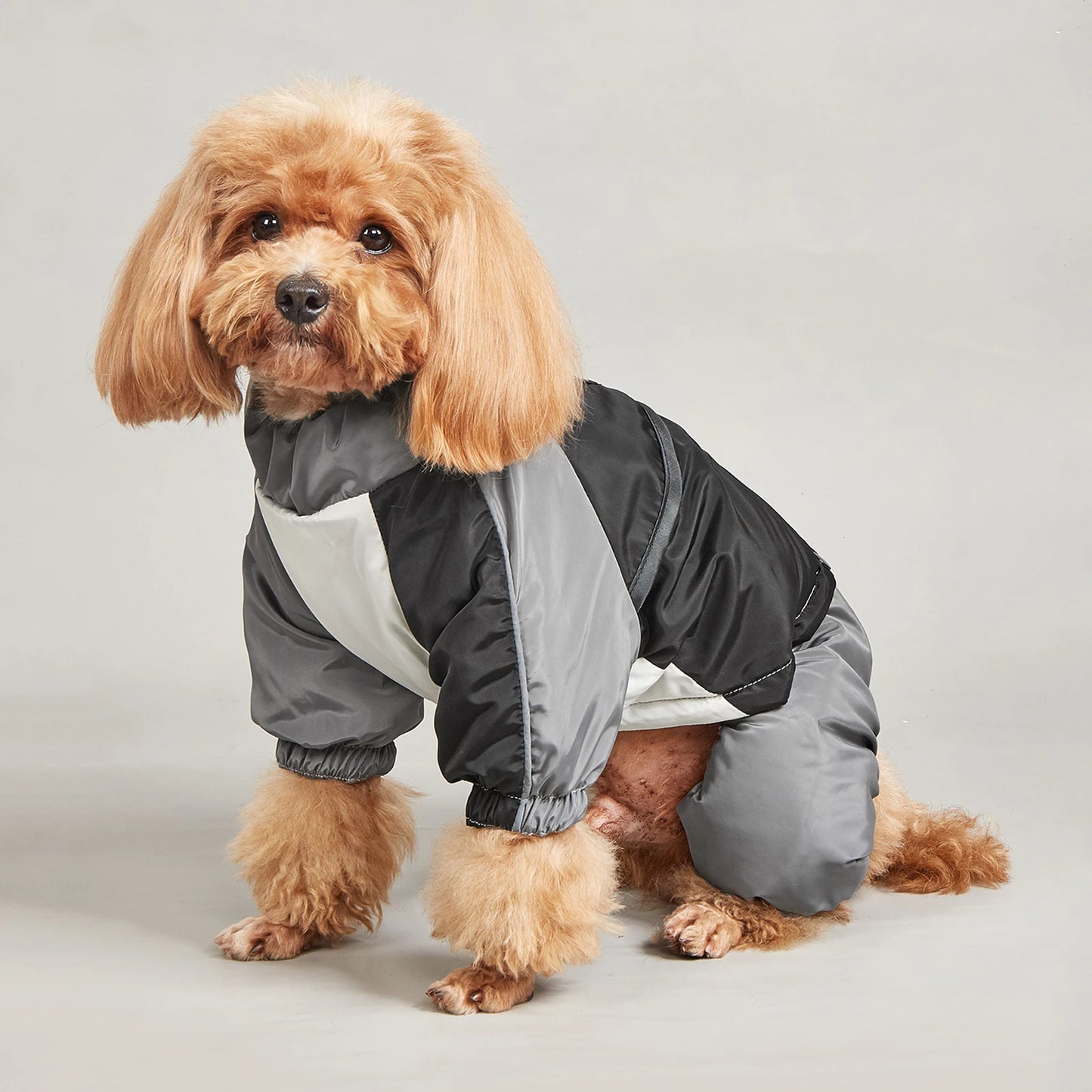 Winter Dog Jacket Warm Thicken Cotton Clothes With Traction Ring Dog Windproof Coat Medium Large Dogs Outdoor Cold Proof Clothes (Copy)