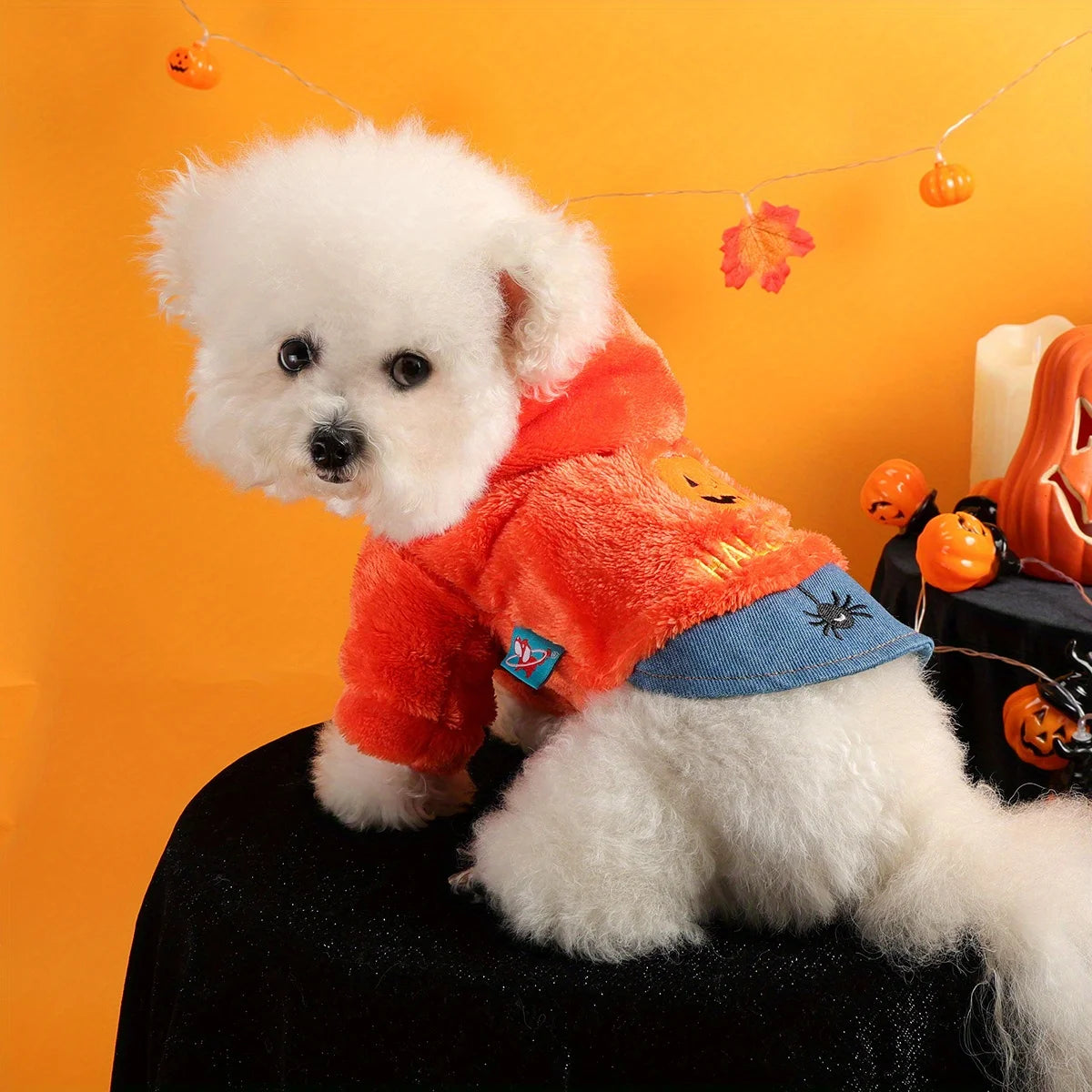 Happy Halloween Pack Orange Pumpkin Pet Clothes Dog Cat Splicing  Fleece Thickened Embroidery Traction Open Button Jacket