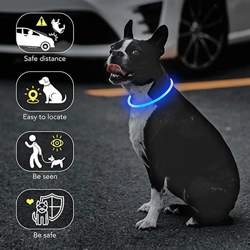 FinPaws BrandBuddy LED Luminous Pet Collar – Rechargeable Glowing Safety Light Necklace for Dogs & Cats | Heijastava LED Koiran Kaulapanta ja Kissan Kaulakoru