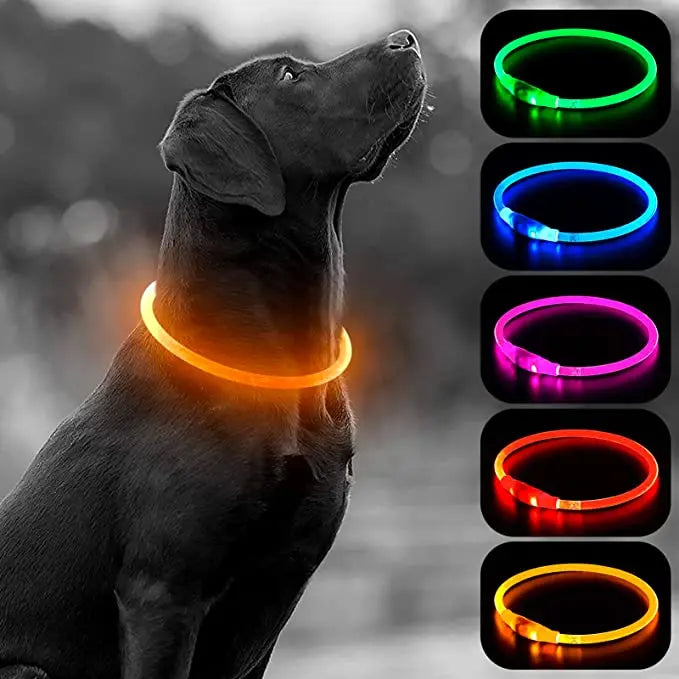 FinPaws BrandBuddy LED Luminous Pet Collar – Rechargeable Glowing Safety Light Necklace for Dogs & Cats | Heijastava LED Koiran Kaulapanta ja Kissan Kaulakoru