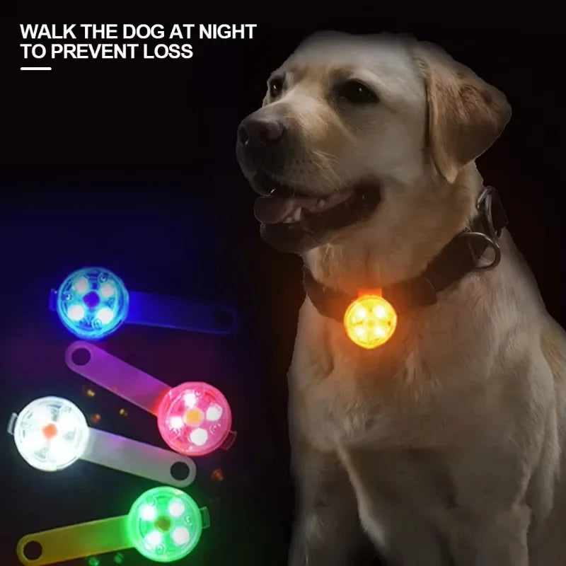 FinPaws Glow Collar đŸ LED Safety Light for Pets / FinPaws Hehku-panta đŸ LED-turvavalo lemmikeille
