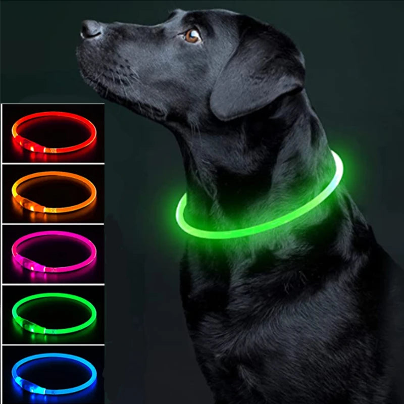 FinPaws BrandBuddy LED Luminous Pet Collar – Rechargeable Glowing Safety Light Necklace for Dogs & Cats | Heijastava LED Koiran Kaulapanta ja Kissan Kaulakoru