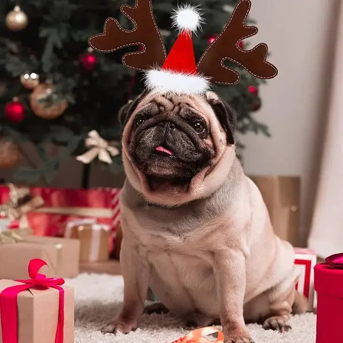 Christmas Pet Antlers Headband – Cute Reindeer Hair Hoops for Dogs & Cats | Finpaws Finland