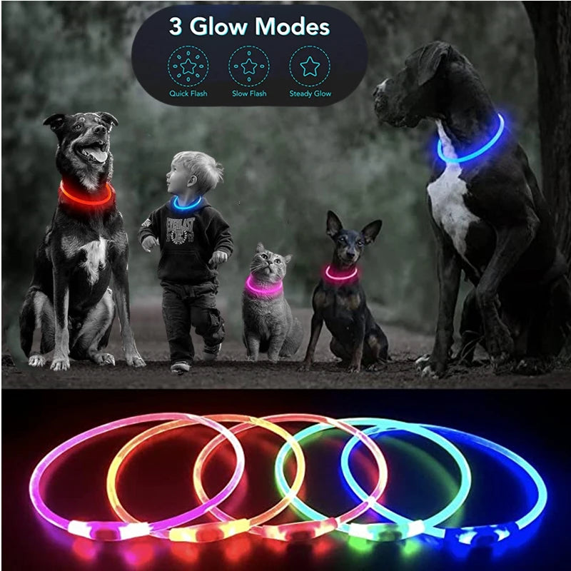 FinPaws BrandBuddy LED Luminous Pet Collar – Rechargeable Glowing Safety Light Necklace for Dogs & Cats | Heijastava LED Koiran Kaulapanta ja Kissan Kaulakoru