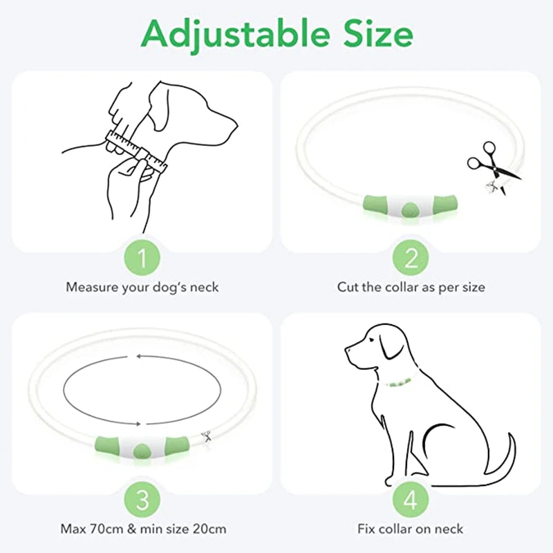 FinPaws BrandBuddy LED Luminous Pet Collar – Rechargeable Glowing Safety Light Necklace for Dogs & Cats | Heijastava LED Koiran Kaulapanta ja Kissan Kaulakoru