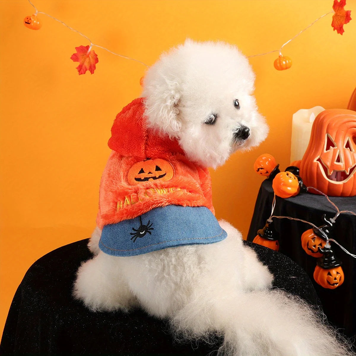 Happy Halloween Pack Orange Pumpkin Pet Clothes Dog Cat Splicing  Fleece Thickened Embroidery Traction Open Button Jacket