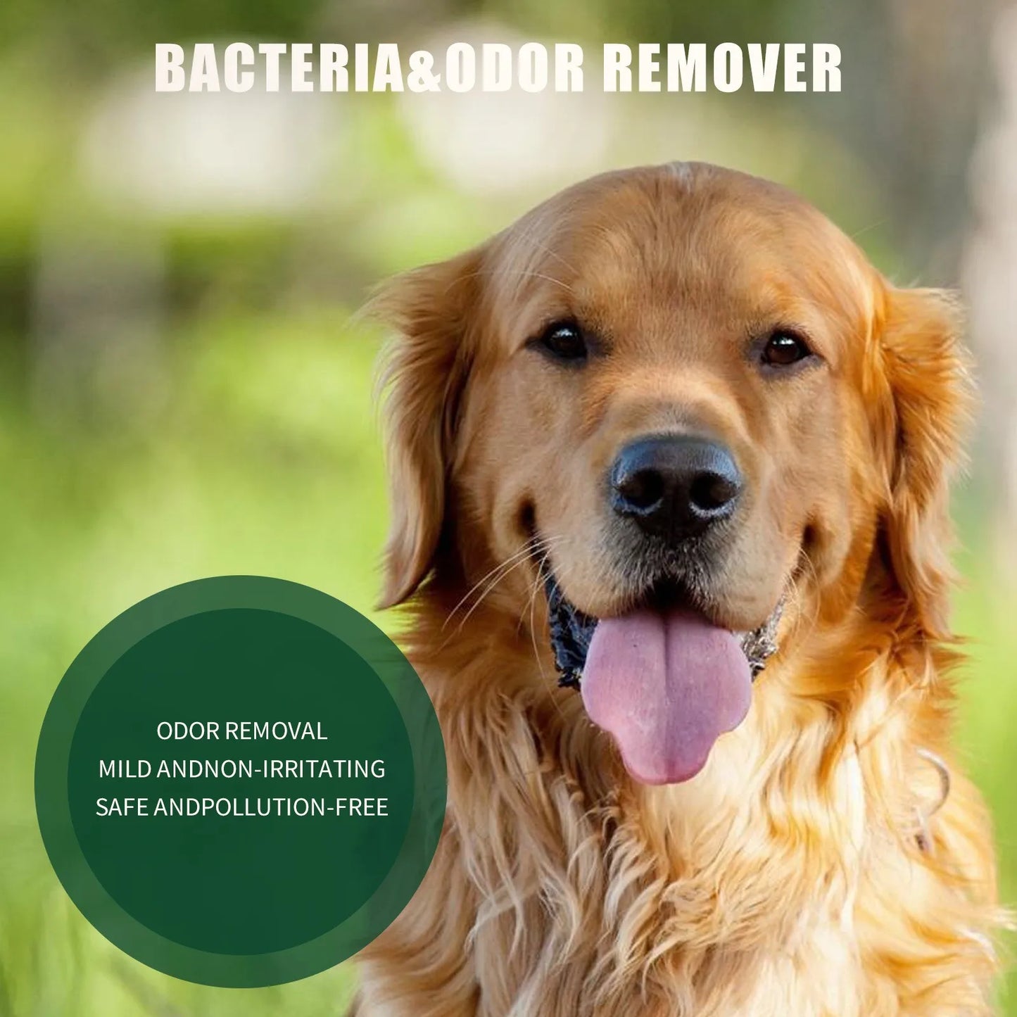 FinPaws Pet Deodorization Spray 50ml – Dog & Cat Perfume with Lavender Oil, Anti-Itch & Fresh Fragrance