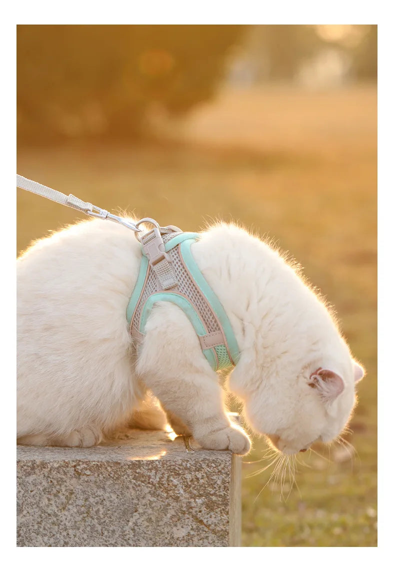 Safe Design Adjustable Cat/Dog Harness Vest for Small Medium Cat/Dogs Pet Harness Chest Rope & Reflective Strips Breathable