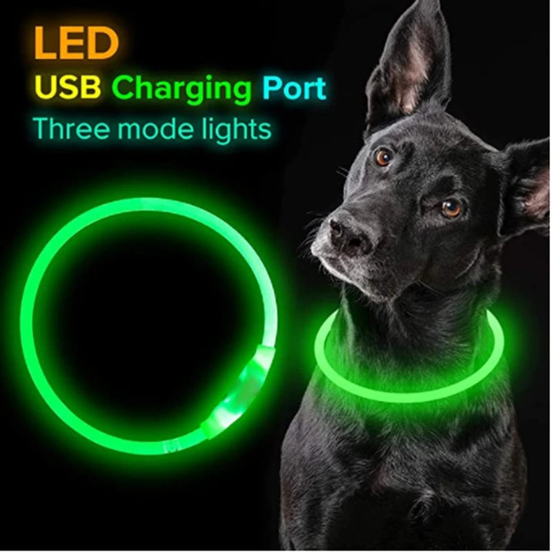 FinPaws BrandBuddy LED Luminous Pet Collar – Rechargeable Glowing Safety Light Necklace for Dogs & Cats | Heijastava LED Koiran Kaulapanta ja Kissan Kaulakoru