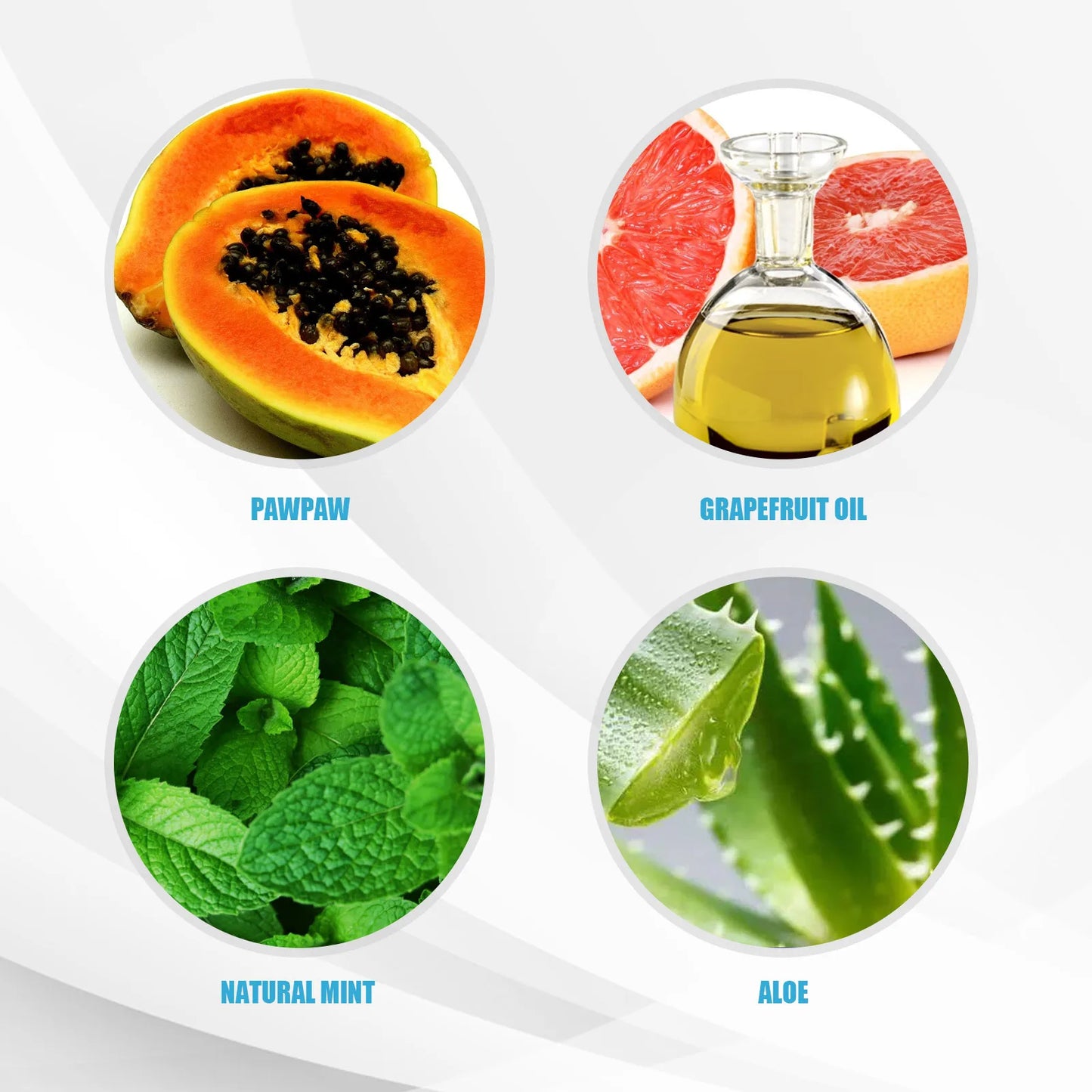 FinPaws Enzymatic Pet Toothpaste for Dogs & Cats – Oral Gum Care & Plaque Control