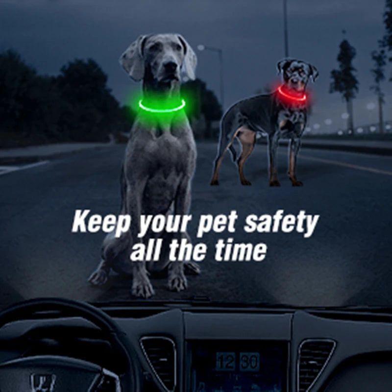 FinPaws BrandBuddy LED Luminous Pet Collar – Rechargeable Glowing Safety Light Necklace for Dogs & Cats | Heijastava LED Koiran Kaulapanta ja Kissan Kaulakoru