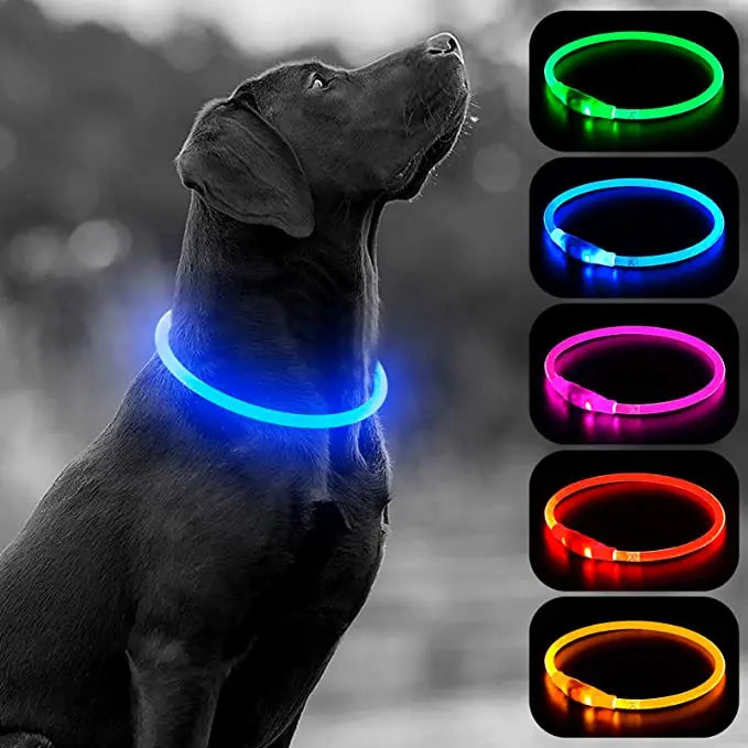 FinPaws BrandBuddy LED Luminous Pet Collar – Rechargeable Glowing Safety Light Necklace for Dogs & Cats | Heijastava LED Koiran Kaulapanta ja Kissan Kaulakoru