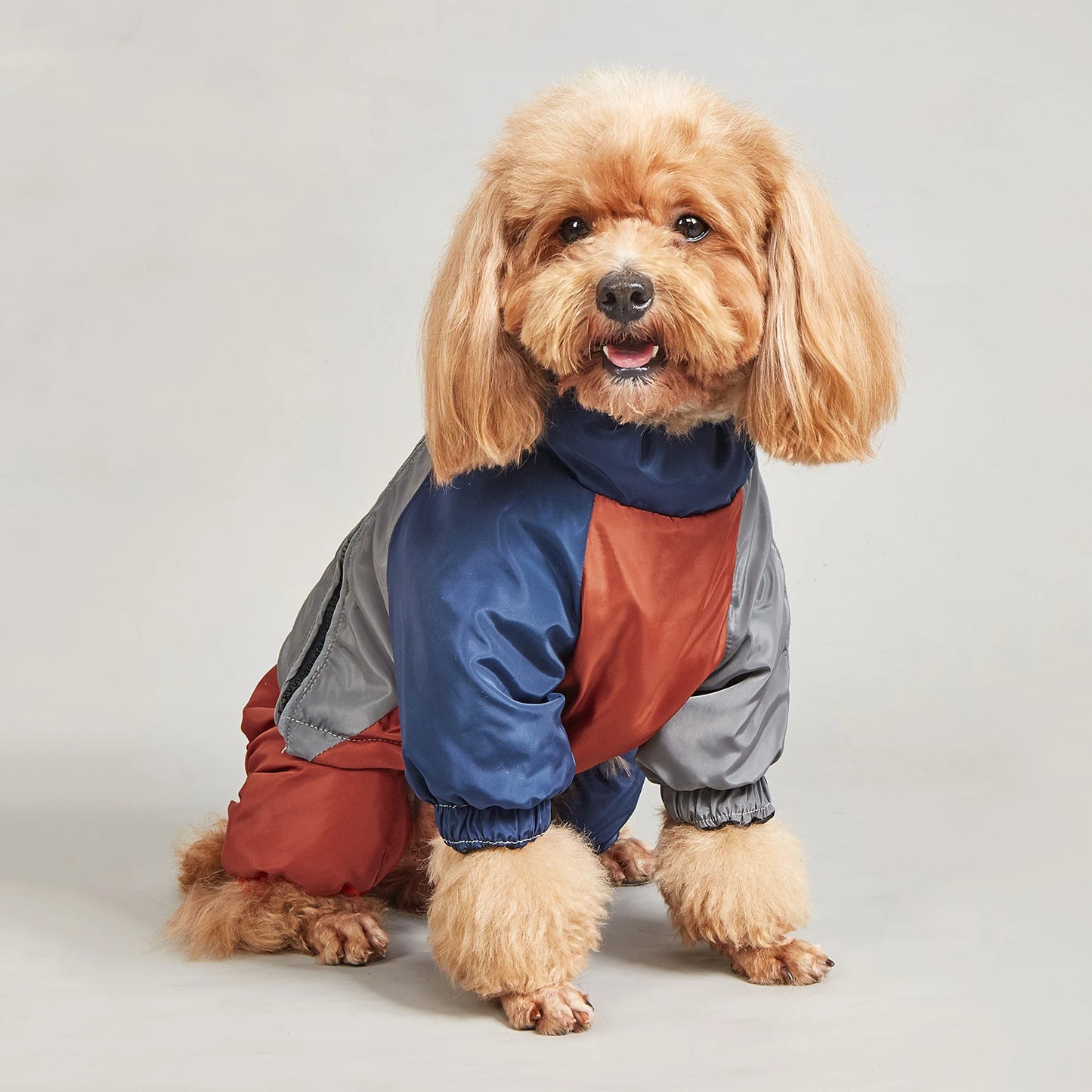 Winter Dog Jacket Warm Thicken Cotton Clothes With Traction Ring Dog Windproof Coat Medium Large Dogs Outdoor Cold Proof Clothes (Copy)