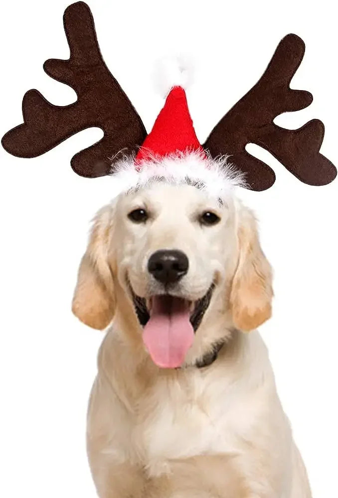 Christmas Pet Antlers Headband – Cute Reindeer Hair Hoops for Dogs & Cats | Finpaws Finland