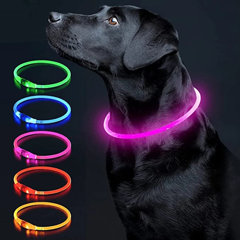FinPaws BrandBuddy LED Luminous Pet Collar – Rechargeable Glowing Safety Light Necklace for Dogs & Cats | Heijastava LED Koiran Kaulapanta ja Kissan Kaulakoru