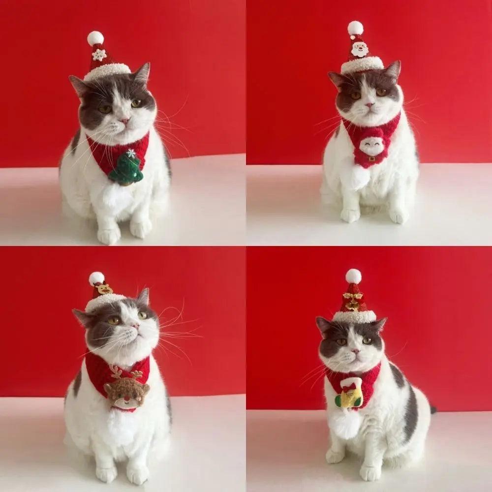 Christmas Cat Hat & Pet Costume – Cute Red Santa Hat for Cats & Small Dogs | Finpaws Finland