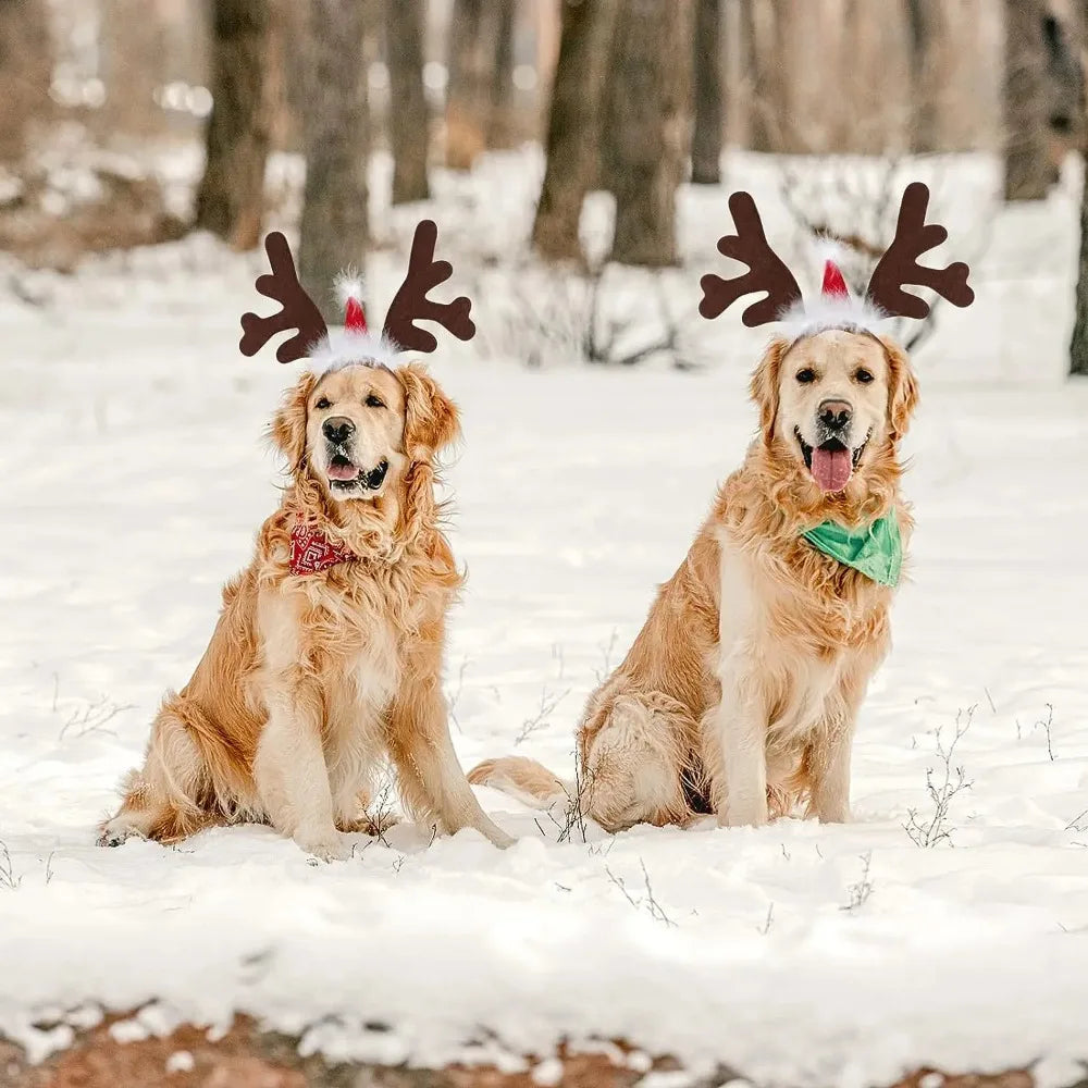 Christmas Pet Antlers Headband – Cute Reindeer Hair Hoops for Dogs & Cats | Finpaws Finland