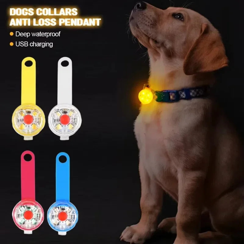 FinPaws Glow Collar đŸ LED Safety Light for Pets / FinPaws Hehku-panta đŸ LED-turvavalo lemmikeille