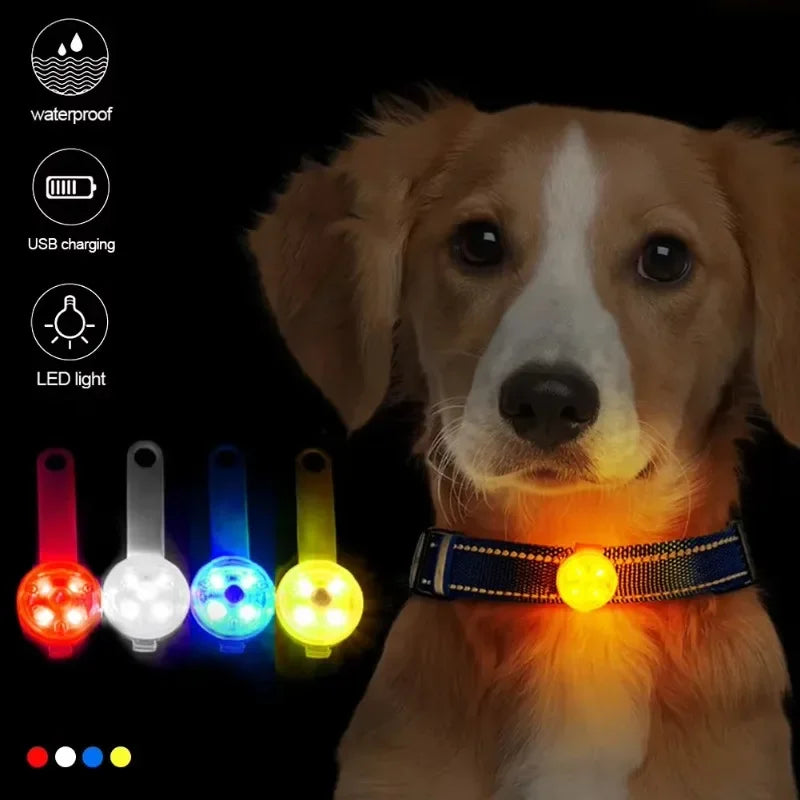 FinPaws Glow Collar đŸ LED Safety Light for Pets / FinPaws Hehku-panta đŸ LED-turvavalo lemmikeille