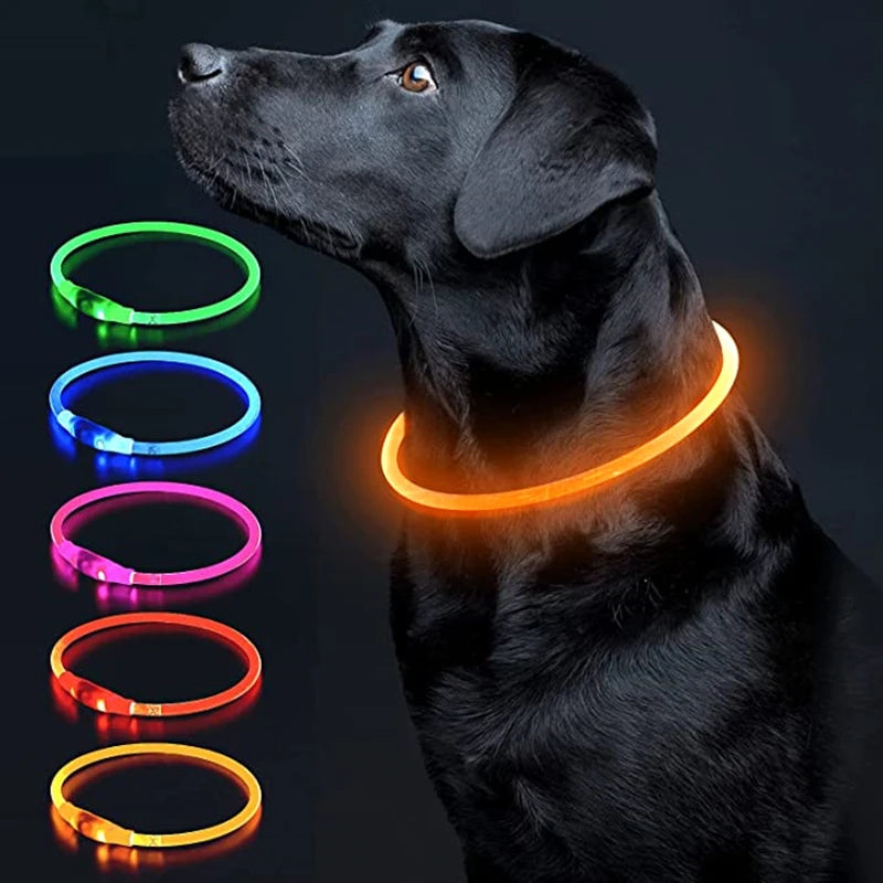 FinPaws BrandBuddy LED Luminous Pet Collar – Rechargeable Glowing Safety Light Necklace for Dogs & Cats | Heijastava LED Koiran Kaulapanta ja Kissan Kaulakoru
