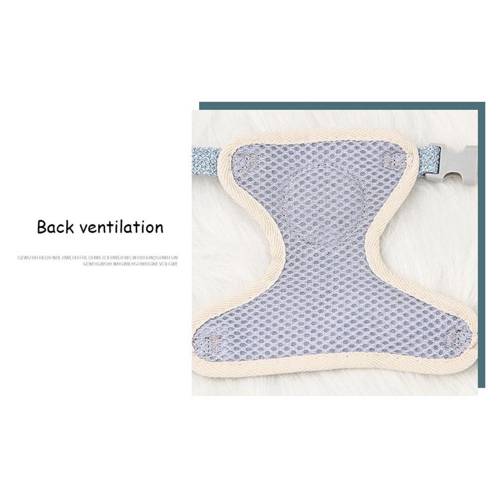 Pienen Lemmikin Valjaat ja Talutin – Small Pet Vest Harness & Leash Set for Dogs, Cats & Bunnies - FinPaws