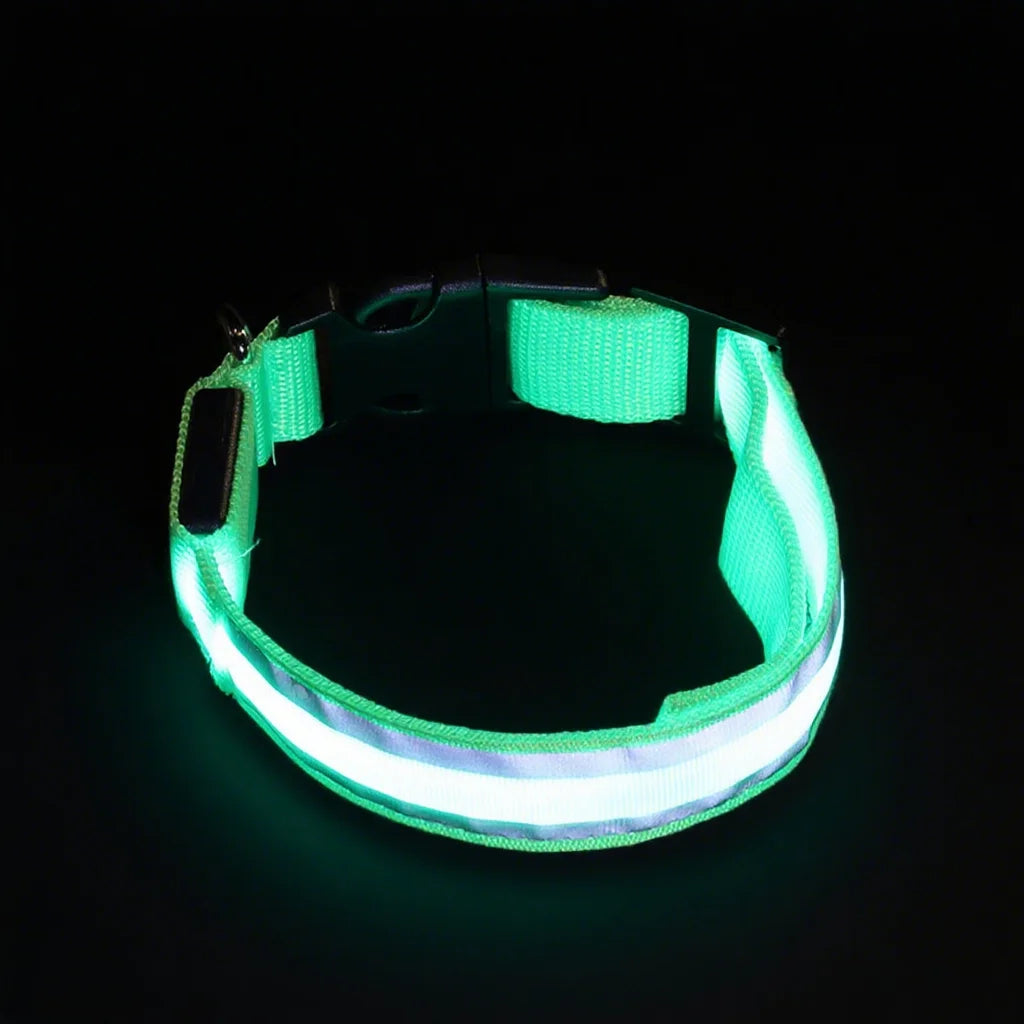 USB Rechargeable LED Pet Collar – Turvallinen LED-lemmikkipanta koirille ja kissoille yölenkeille - FinPaws