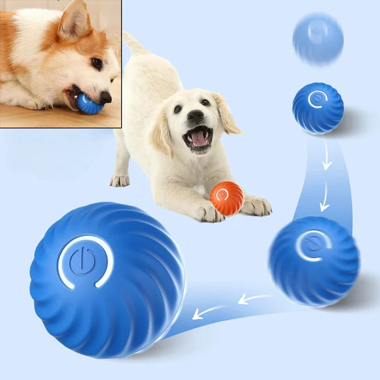 Smart Automatic Dog Toy Ball – Älykäs Automaattinen Koiran Leikkipallo - FinPaws