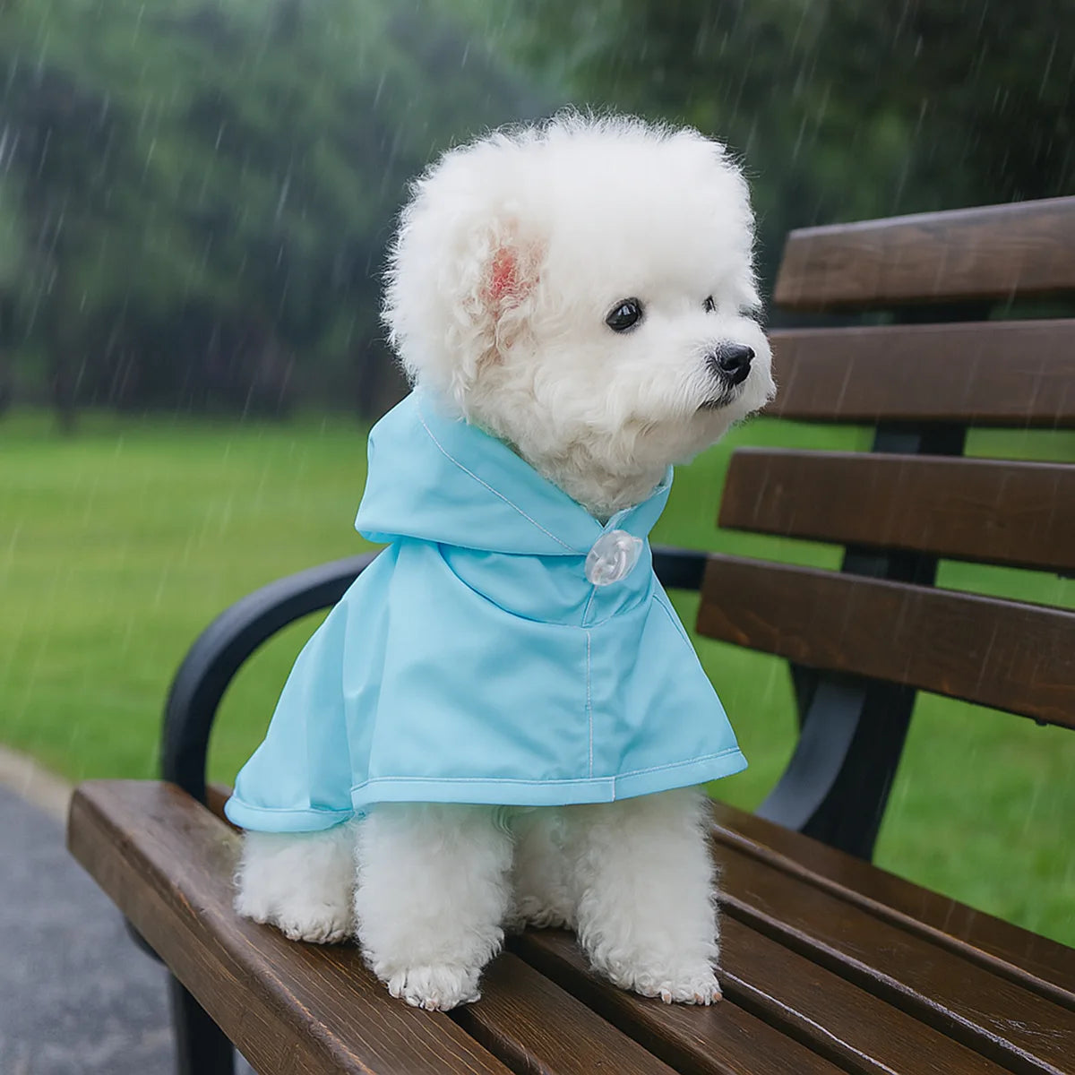 Dog Raincoat,Waterproof Rain Poncho with Hoodie, Adjustable Pet Rain Jacket with Leash Hole for Small Medium Dogs - FinPaws