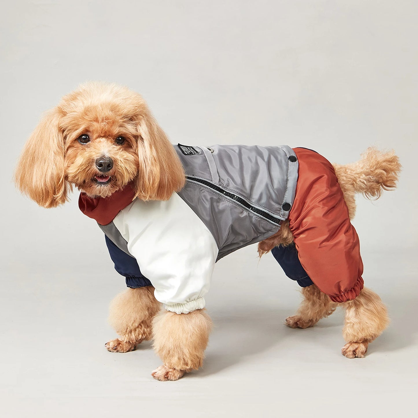 Winter Dog Jacket Warm Thicken Cotton Clothes With Traction Ring Dog Windproof Coat Medium Large Dogs Outdoor Cold Proof Clothes (Copy)