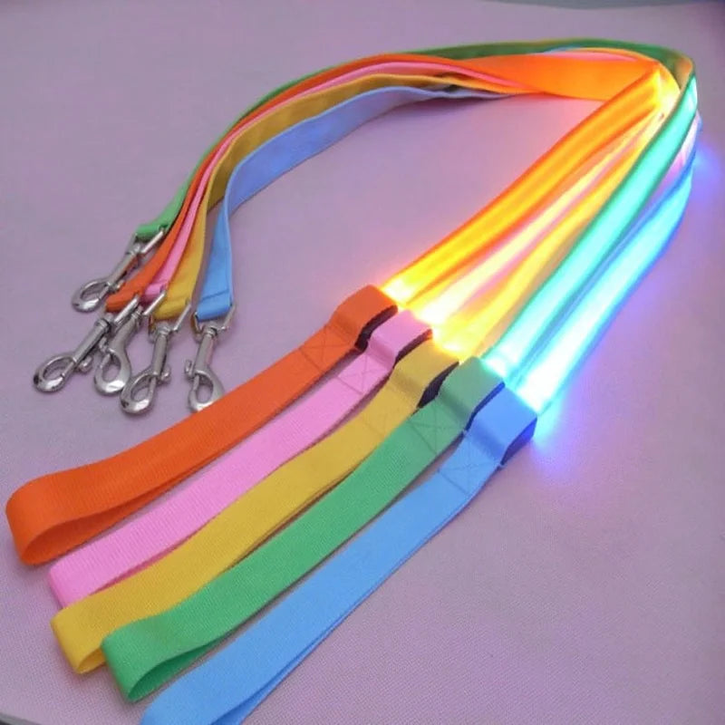 LED Valotalutin Koirille – Light-Up Dog Leash | Luminous Safety Rope & Flashing Collar Accessory - FinPaws