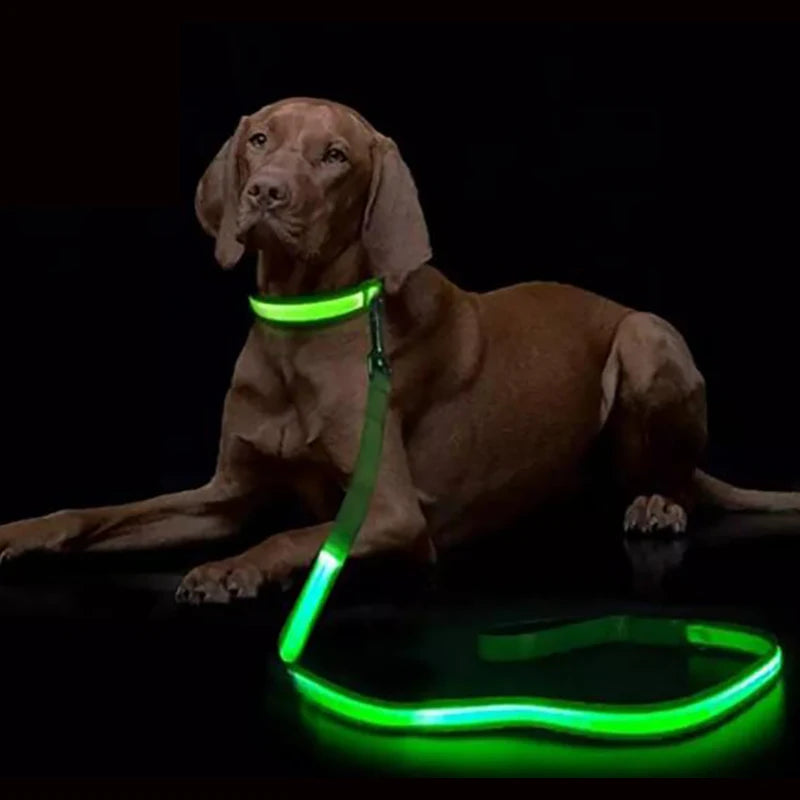 LED Valotalutin Koirille – Light-Up Dog Leash | Luminous Safety Rope & Flashing Collar Accessory - FinPaws