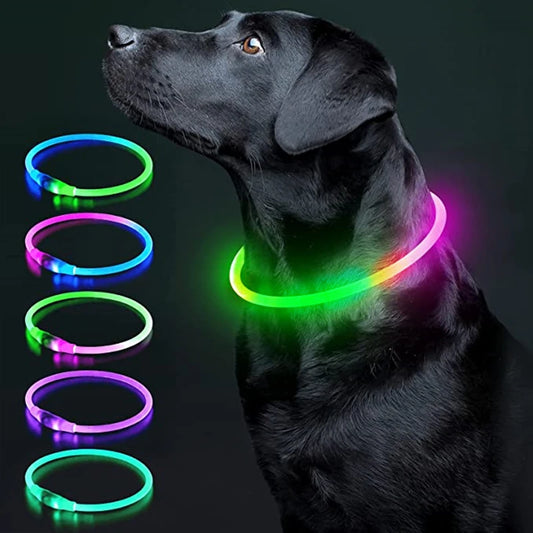 FinPaws BrandBuddy LED Luminous Pet Collar – Rechargeable Glowing Safety Light Necklace for Dogs & Cats | Heijastava LED Koiran Kaulapanta ja Kissan Kaulakoru