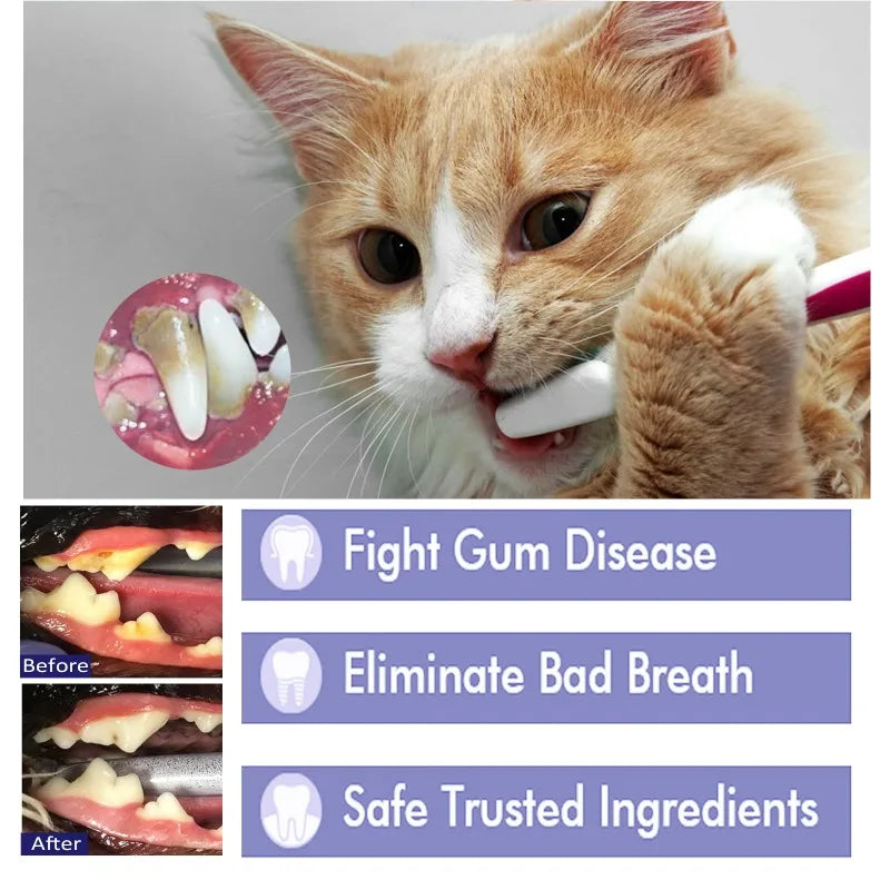 FinPaws Enzymatic Pet Toothpaste for Dogs & Cats – Oral Gum Care & Plaque Control