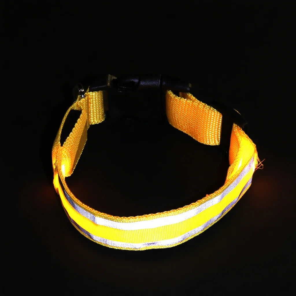 USB Rechargeable LED Pet Collar – Turvallinen LED-lemmikkipanta koirille ja kissoille yölenkeille - FinPaws